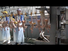 Ένα σχήμα που κόβει