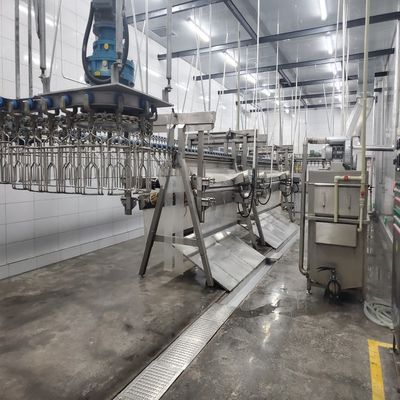 Ηλεκτρονική γραμμή επεξεργασίας σφαγής από ανοξείδωτο χάλυβα 500 bph 10000 bph Εξοπλισμός σφαγής κοτόπουλου