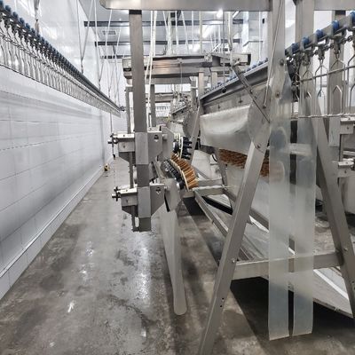 Μηχανή αυτόματης σφαγής πουλερικών 500-1000 BPH Γραμμή σφαγής κοτόπουλου