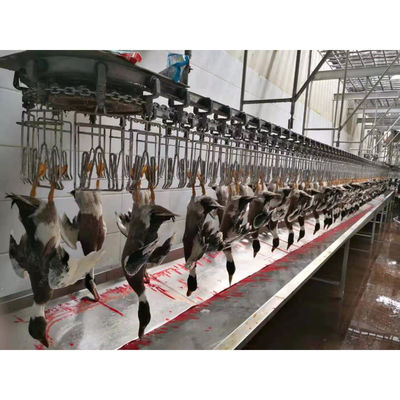 Μηχανήματα επεξεργασίας πουλερικών 300-1000 bph για εξοπλισμό επεξεργασίας θανάτων κοτόπουλων