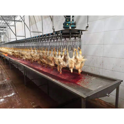 Γραμμή σφαγής κοτόπουλου Halal/Εξοπλισμός για άλλη επεξεργασία και εγγυημένη απόδοση