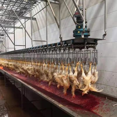 Μηχανή ψήσιμο πουλερικών από ανοξείδωτο χάλυβα 304