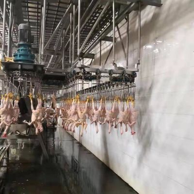 Μηχανή σφαγής από ανοξείδωτο χάλυβα 304 Τουρκία