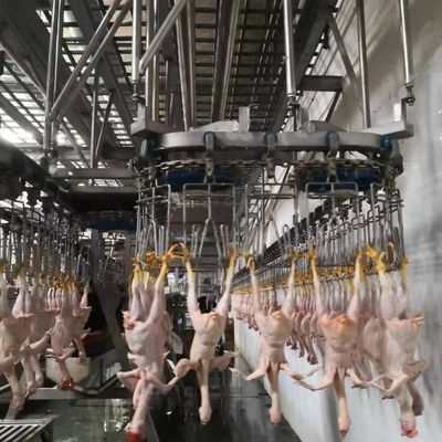 220V / 380V αυτόματη μηχανή σφαγής πουλερικών