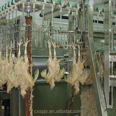Μηχανή επεξεργασίας πουλερικών 380V/220V τάσης