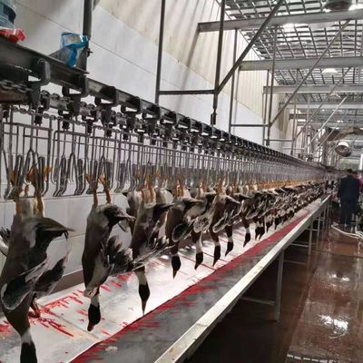 Εργαλεία σφαγής πουλερικών με πιστοποιητικό CE Απάτη Σφαγή πουλερικών γραμμή 600KG