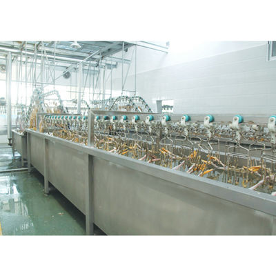 Μηχανή σφαγής πάπιας 3000BPH 380V / 220V Εξοπλισμός επεξεργασίας πουλερικών