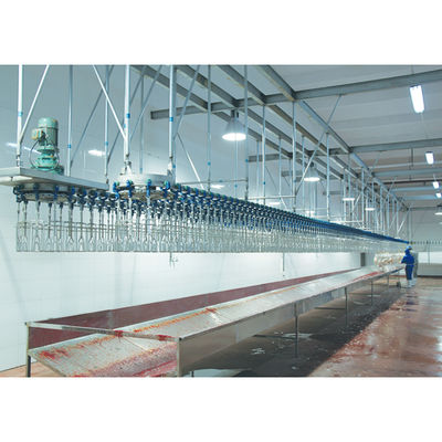 Μηχανή σφαγής κοτόπουλου Halal 500BPH - 10000BPH Εξοπλισμός γραμμής σφαγής
