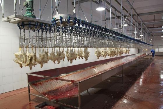Εργοστάσια αυτοματοποιημένης σφαγής για κοτόπουλα