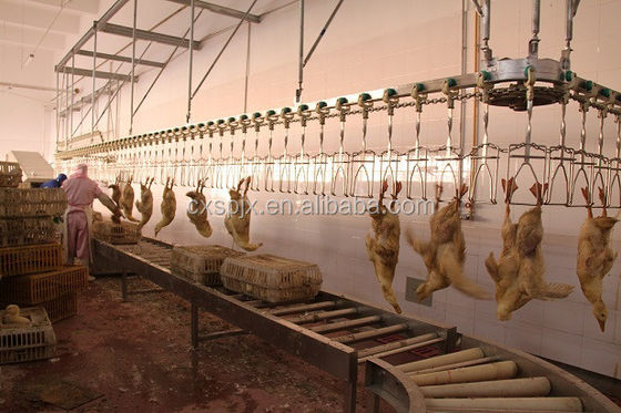 Μηχανή 304 ανοξείδωτο 220V σφαγής γραμμών επεξεργασίας χήνων παπιών κοτόπουλου