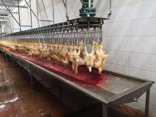 1000 κοτόπουλα ανά ώρα Bph Ολοκληρωμένη μίνι γραμμή επεξεργασίας πουλερικών Σφαγείο