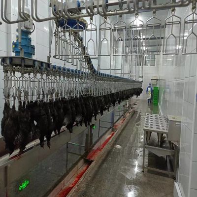 Αυτοματοποιημένη μηχανή σφαγής πουλερικών Halal 500 bph Μηχανή κοτόπουλου