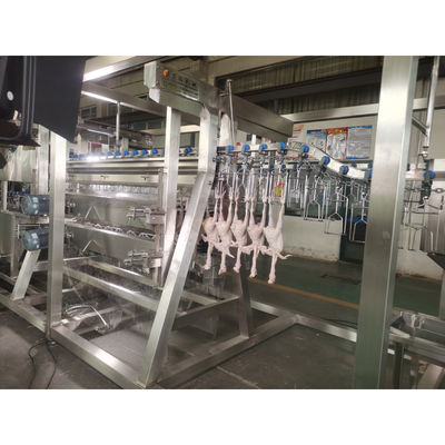 200BPH 300BPH 500BPH Αυτοματοποιημένη σφαγή κόβοντας χήνα πάπια κοτόπουλο σφαγείο σφαγή επεξεργασία γραμμής μηχανή σύστημα