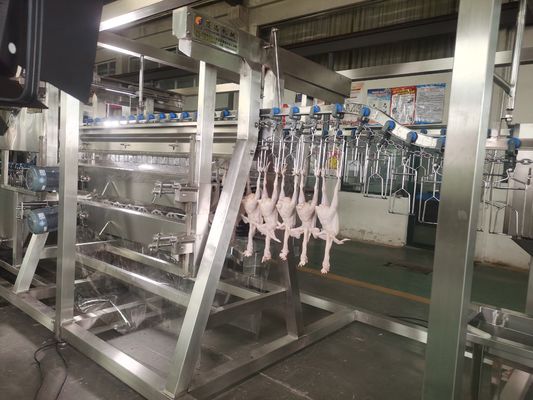Κίνα Αυτοματοποιημένο εργοστάσιο επεξεργασίας κοτόπουλου Νέα κατάσταση εξοπλισμός σφαγής κατασκευασμένο από ατσάλινο αγρόκτημα Σφαγή πουλερικών γραμμή