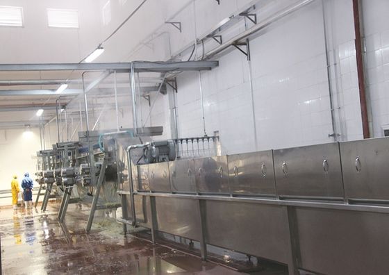 Ηλεκτρικό αναισθητοποιητικό μηχανή σφαγής κοτόπουλου για αγροκτήματα