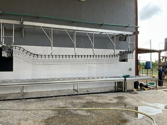 Πιστοποιημένη γραμμή επεξεργασίας πουλερικών υψηλής απόδοσης Halal, έτοιμη προς χρήση, για 1000 πουλιά ανά ώρα